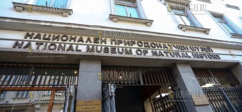 Национальный музей естественной истории при БАН