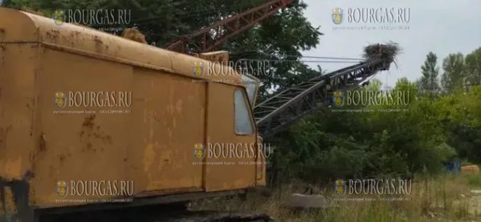Пара белых аистов в Русе выбрала необычное место для гнезда
