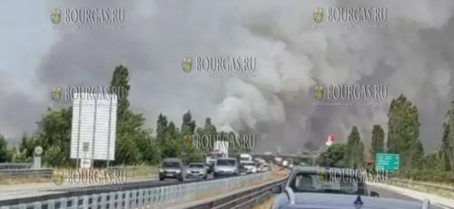 пожар в районе автотрассы в Болгарии