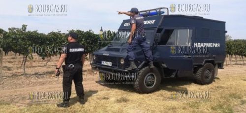 Полиция и жандармерия охраняют виноградники в Болгарии