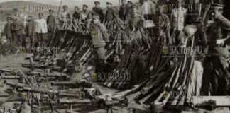 14 октября 1915 года Королевство Болгарии объявило войну Королевству Сербии