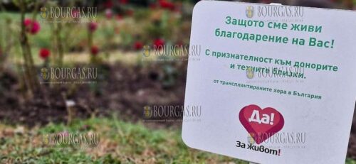 В саду за Национальным дворцом культуры в Софии посадили 17 роз