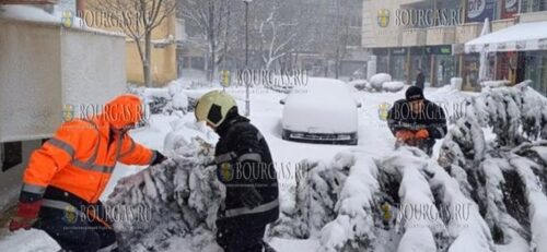 В центре Добрича упала 10-метровая ель