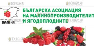 Болгарская ассоциация производителей малины и ягод