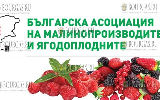 Болгарская ассоциация производителей малины и ягод