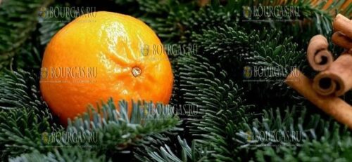 любимый фрукт на рождественские праздники в Болгарии