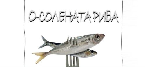праздничные выходные в Созополе будут посвящены вкуснейшему Празднику соленой рыбы