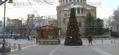 Со сцены Рождества Христова перед церковью Света Неделя в Софии украли ягненка