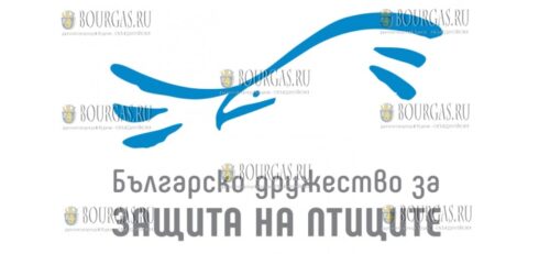 Болгарское общество защиты птиц