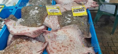 апрель 2024 года - любимая рыба в Бургасе - это черноморский калкан