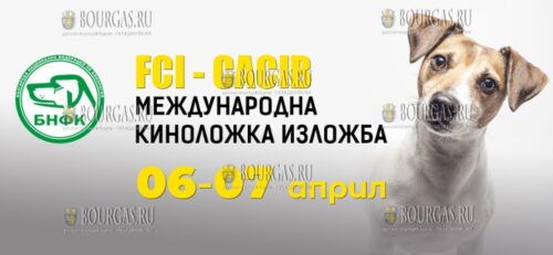 Две выставки собак пройдут на Пловдивской международной ярмарке