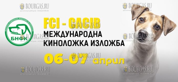 Две выставки собак пройдут на Пловдивской международной ярмарке