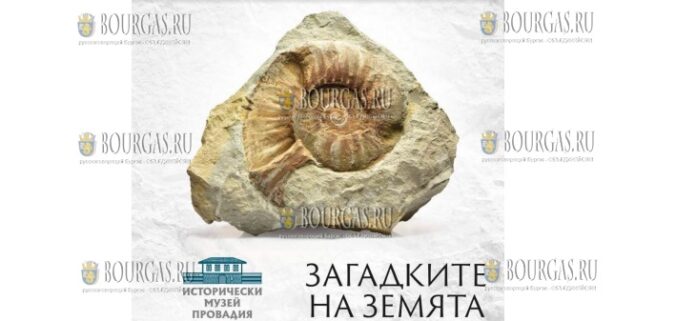 Исторический музей Провадии - Тайны Земли – Исчезнувшая жизнь