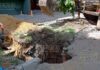 В центре Варны образовалась большая яма