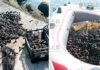 Под Бургасом поймали браконьера
