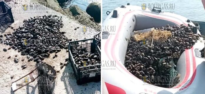 Под Бургасом поймали браконьера
