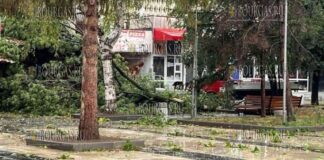 В Варненской области пронесся ураган
