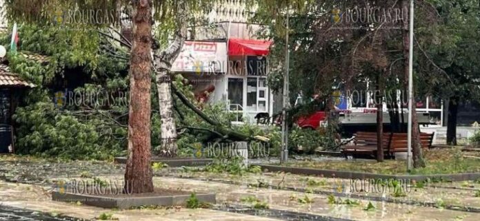 В Варненской области пронесся ураган