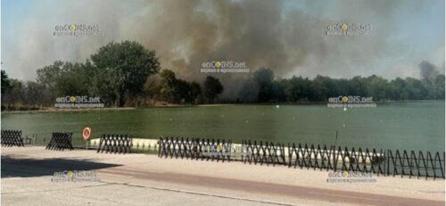возле гребной базы в Пловдиве возник пожар
