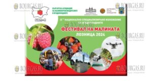 Фестиваль малины в Болгарии прошел в городе Лозница