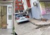 Лисица зашла в помещение Дорожной полиции Велико Тырново