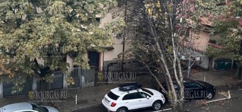 В ЖК Лозенец в Софии упало дерево