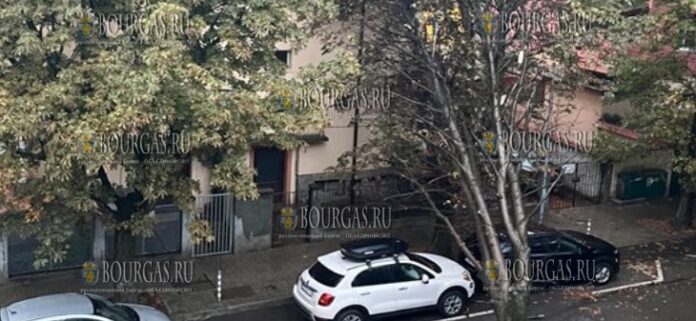 В ЖК Лозенец в Софии упало дерево