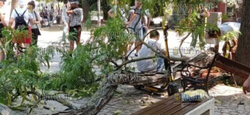 Ходить по улицам Варны опасно