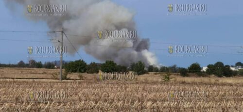 Военный самолет упал во время авиашоу в районе базы ВВС Болгарии Граф Игнатиево