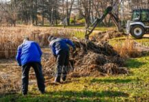 В Южном парке Софии решили почистить озеро