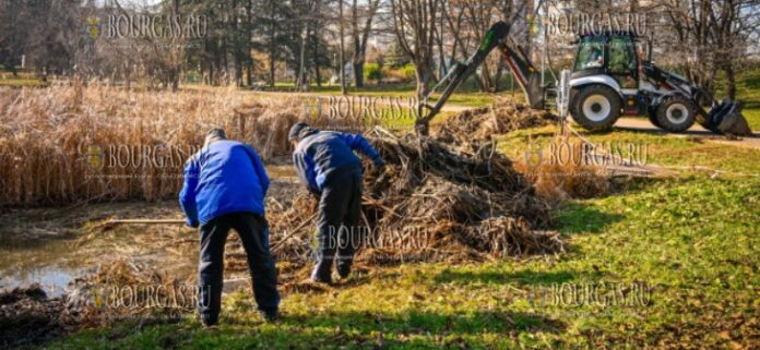 В Южном парке Софии решили почистить озеро