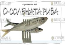 Фестиваль соленой рыбы в Созополе