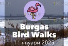 Познакомьтесь с миром птиц возле Бургаса