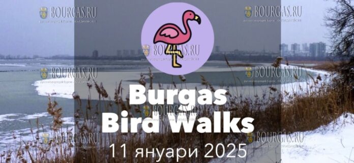 Познакомьтесь с миром птиц возле Бургаса