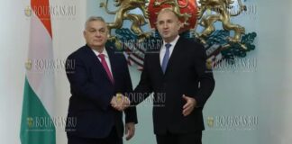 Президент Болгарии встретился с премьером Венгрии