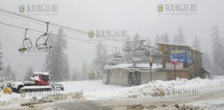 В Пампорово прошел снегопад
