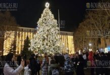 В Варне зажгла огни Рождественская елка