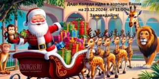 в Варненском зоопарке проведут Новогодний розыгрыш
