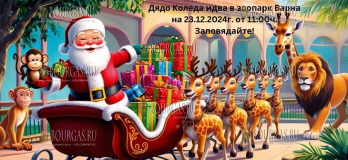в Варненском зоопарке проведут Новогодний розыгрыш