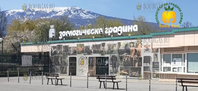 зоопарк в Софии, софийский зоопарк