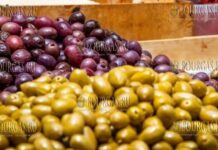 оливки в Болгарии, маслины в Болгарии