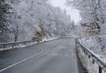 трасса Варна-Бургас, 17 февраля 2025 года
