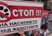 в Болгарии пройдет протест в защиту животных
