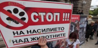 в Болгарии пройдет протест в защиту животных