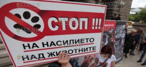 в Болгарии пройдет протест в защиту животных
