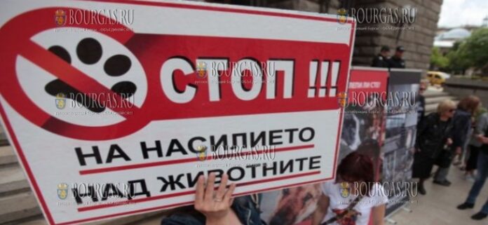 в Болгарии пройдет протест в защиту животных