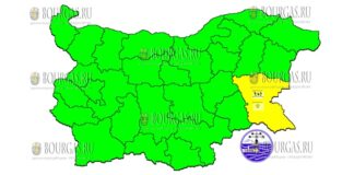 7 апреля Желтый Код в Болгарии