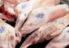 импортная баранина в Болгарии