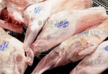 импортная баранина в Болгарии