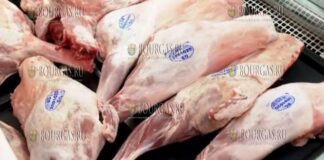 импортная баранина в Болгарии